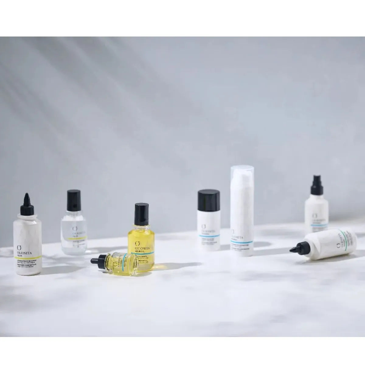 オリオセタ｜OLIOSETA