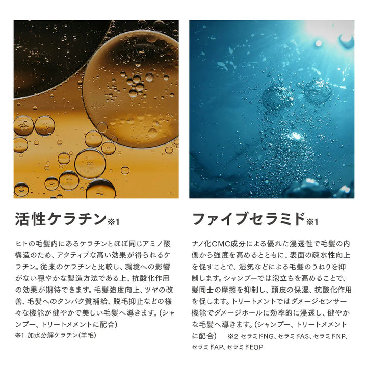 1DK リペア トリートメント｜1DK