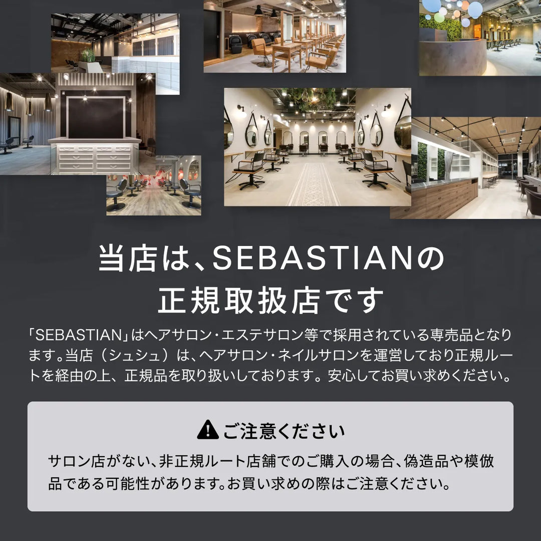 セバスティアン ノーブレーカー ボンディングミスト 100ml｜SEBASTIAN PROFESSIONAL
