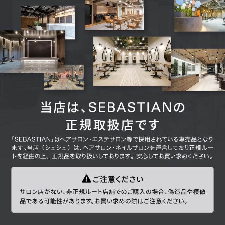 セバスティアン ノーブレーカー ボンディングミスト 100ml｜SEBASTIAN PROFESSIONAL