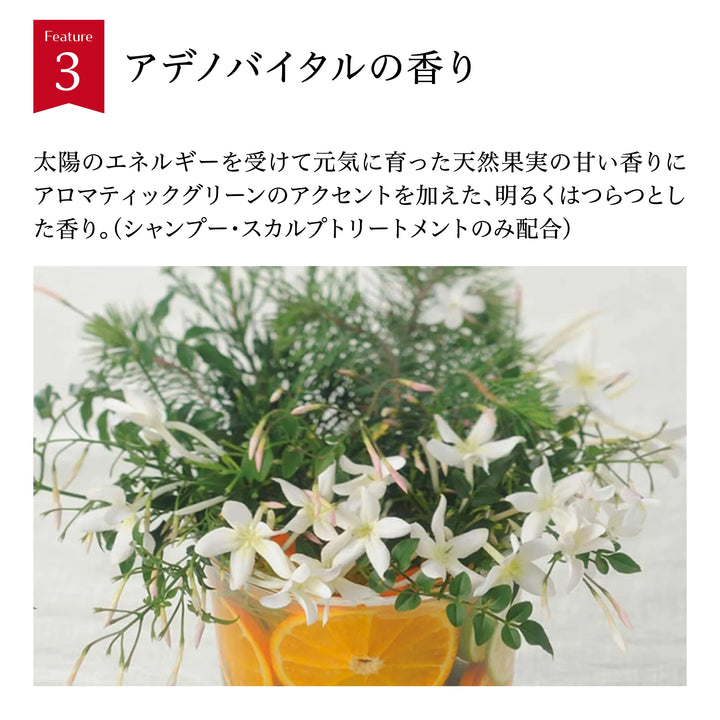 アデノバイタル アドバンスト スカルプエッセンス 180ml / 480ml｜SHISEIDO PROFESSIONAL