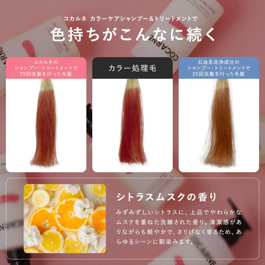 コカルネ カラーケアシャンプー 400ml｜COCARNE