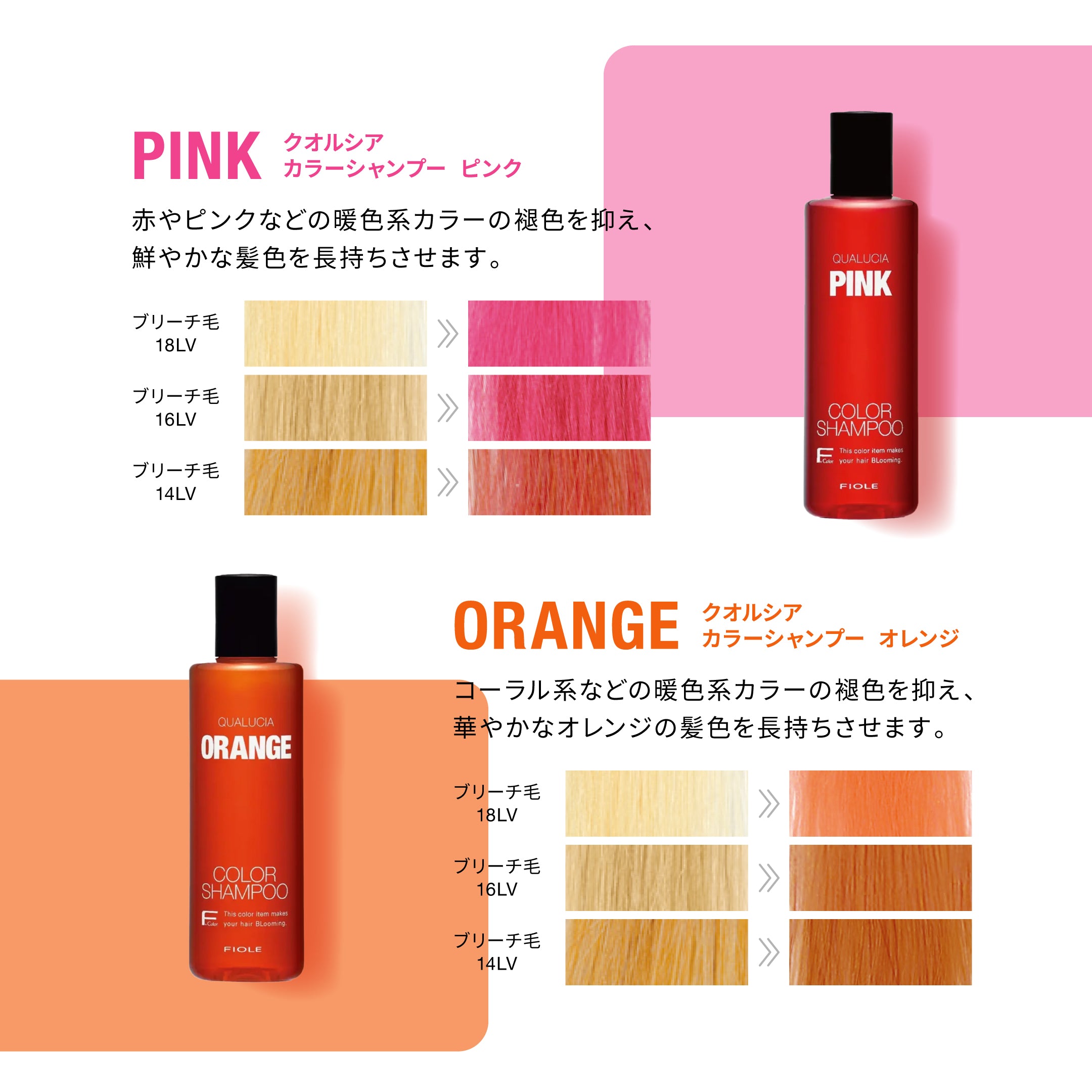 フィヨーレ クオルシア カラーシャンプー 1000ml｜FIOLE – CHOUCHOU