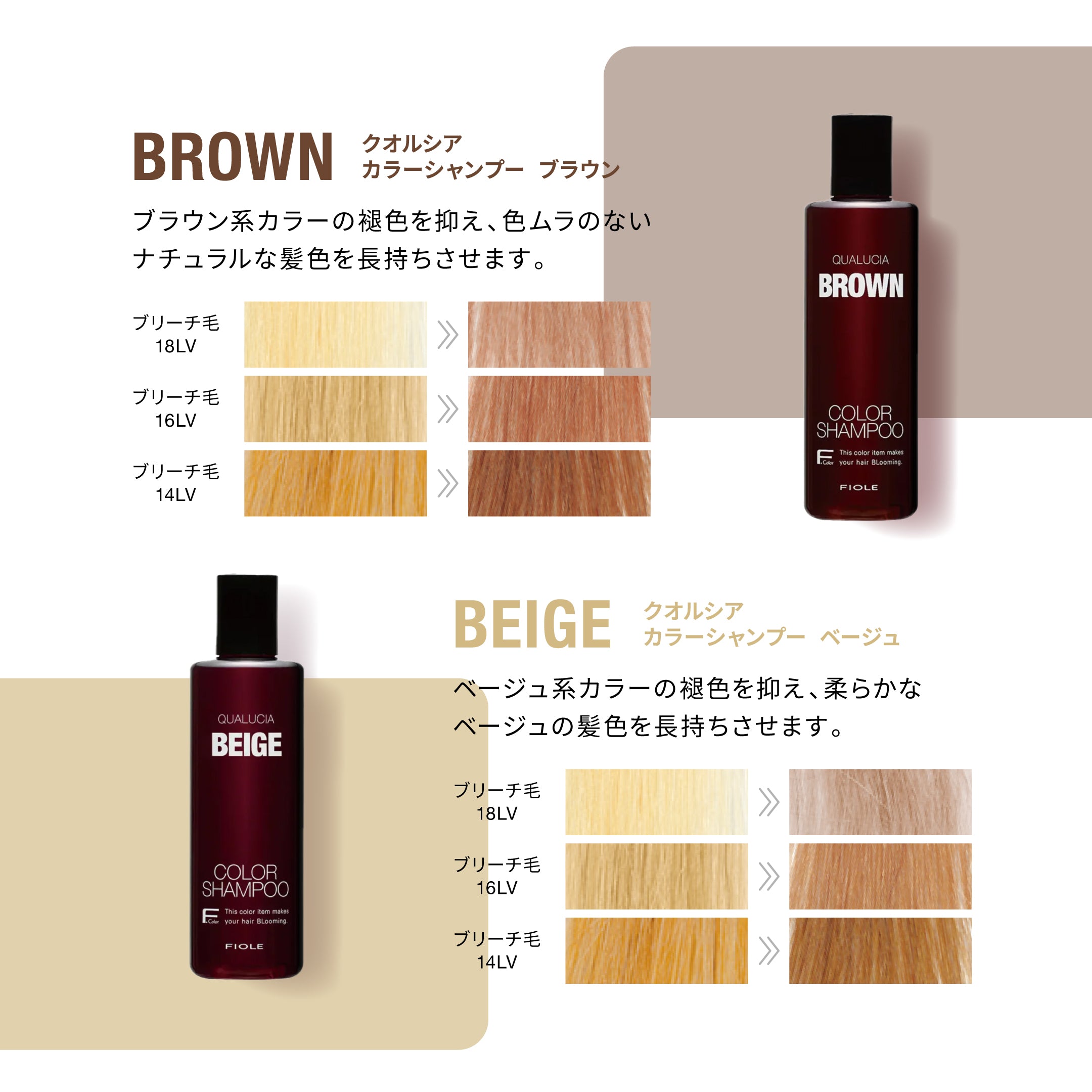 フィヨーレ クオルシア カラーシャンプー 1000ml｜FIOLE – CHOUCHOU