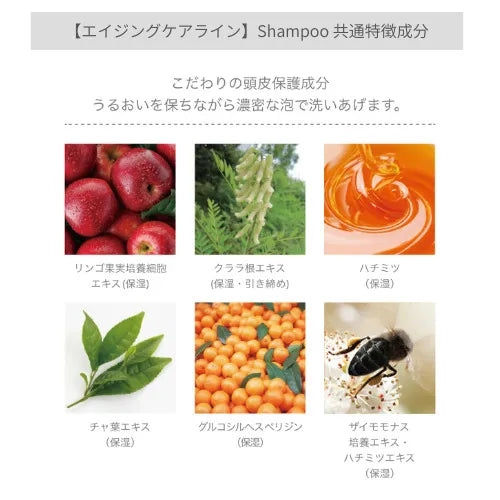 エイジングケアラインシャンプーの共通特徴1