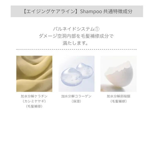 エイジングケアラインシャンプーの共通成分2