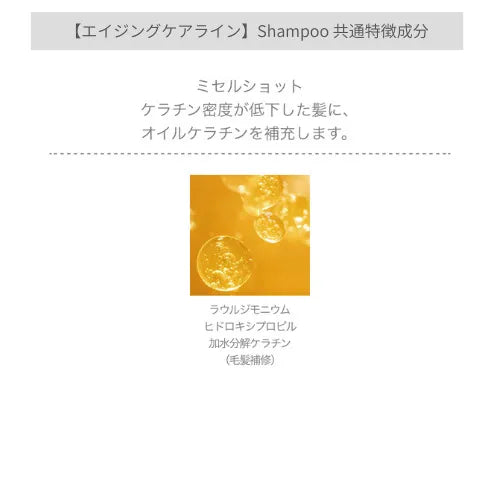 フローディアエイジングケアライントリートメント共通成分特徴2