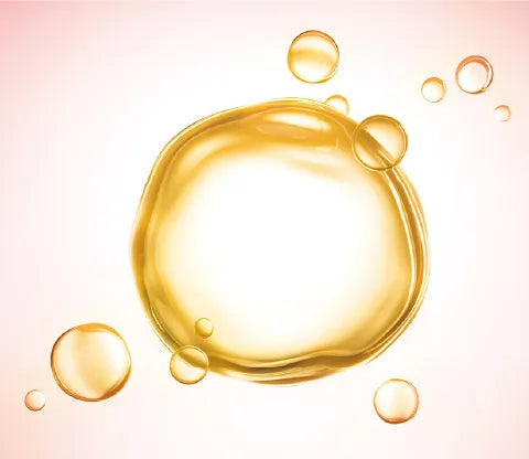 シャンプー後に減る美肌菌に着目。使うたび、頭皮環境を整えるハチミツ発酵エキス※配合