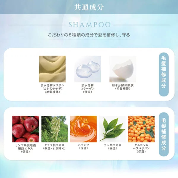 シャンプーの共通成分 こだわりの8種類の成分で髪を補修し、守る