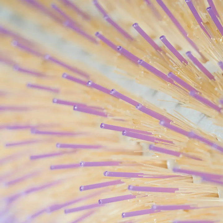 ハウム ロールブラシ7｜HAUM