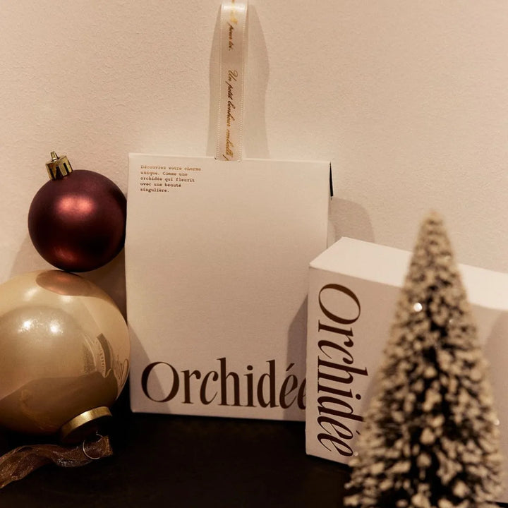 メゾン オルキデ ホリデーコフレ 2025｜Maison Orchidee