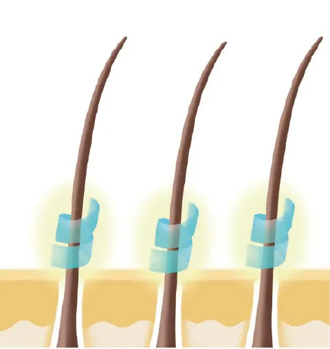頭皮と髪にうるおいとハリを与え、ボリューム感のある艶髪へ