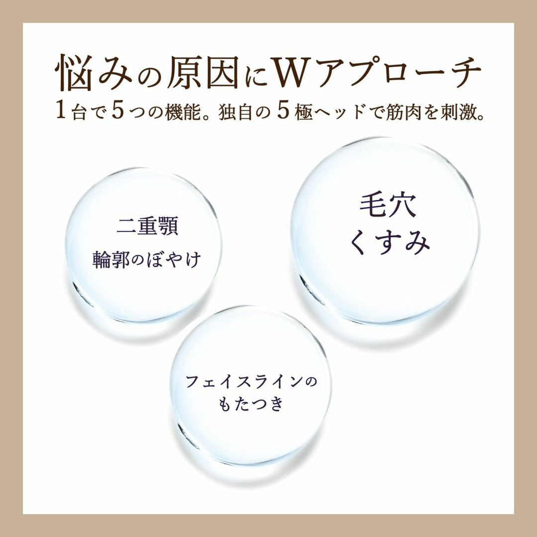 ゾーガンキン ブルーム｜ZOGANKIN