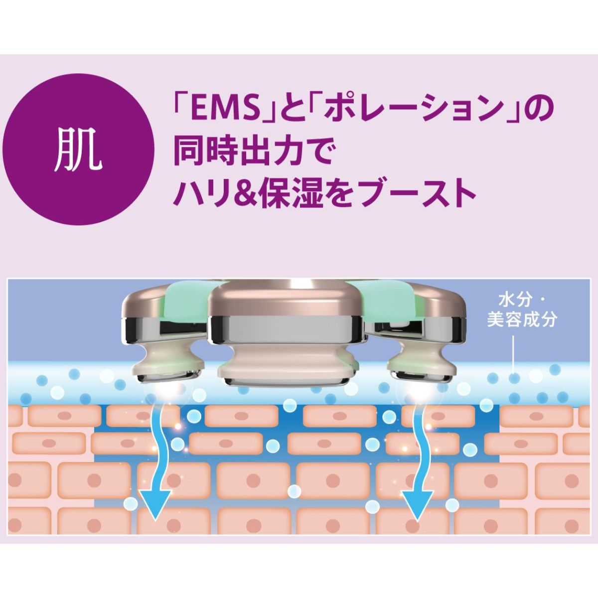 美品 ZOGANKIN BLOOM ゾーガンキン ブルーム CL-OK-ZKBM 楽天市場】正規品 ZOGANKIN BLOOM（ ゾーガンキン ブルーム ）CL